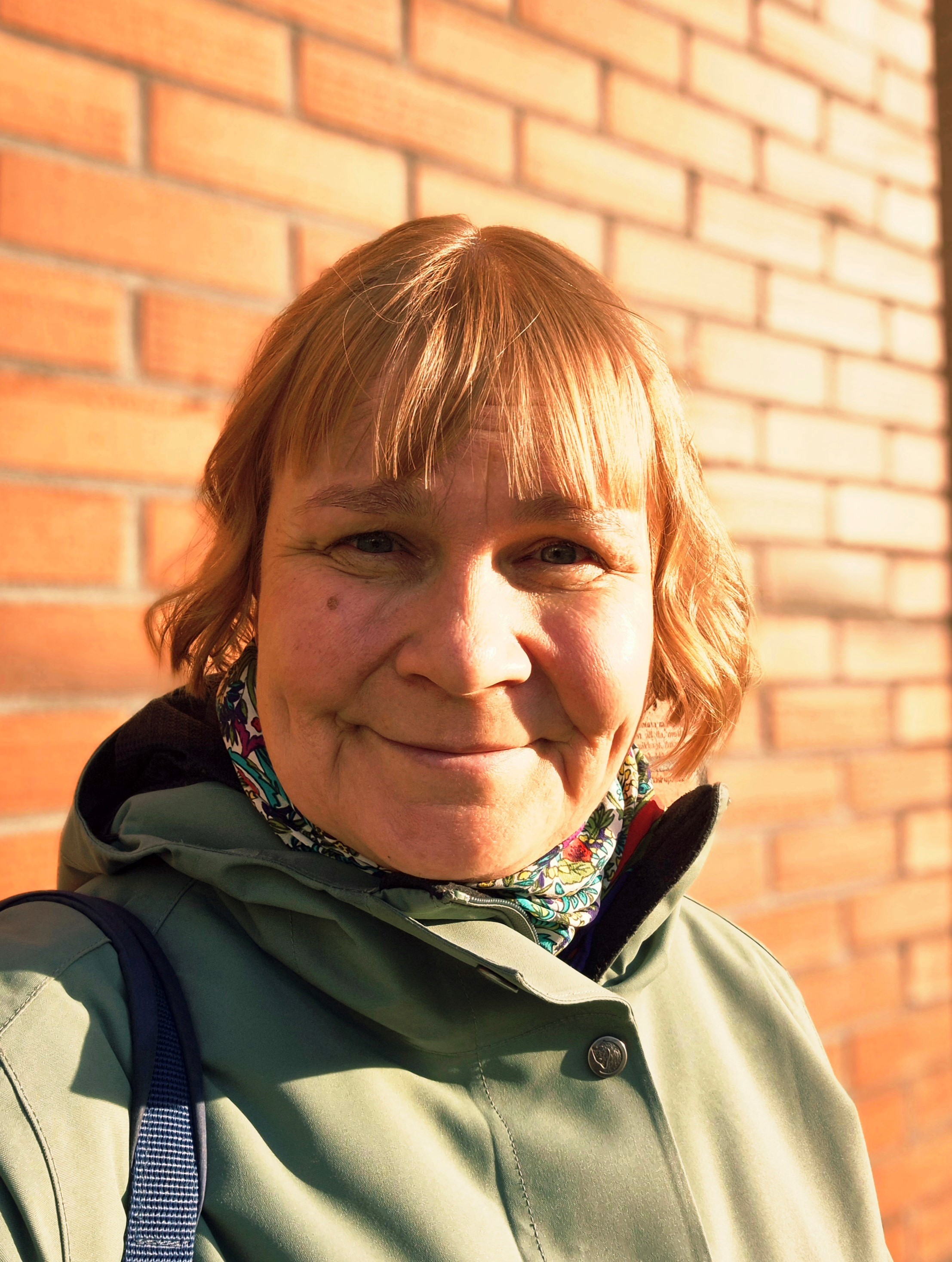 Sannalinnea Hietanoro